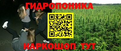 spice Обнинск