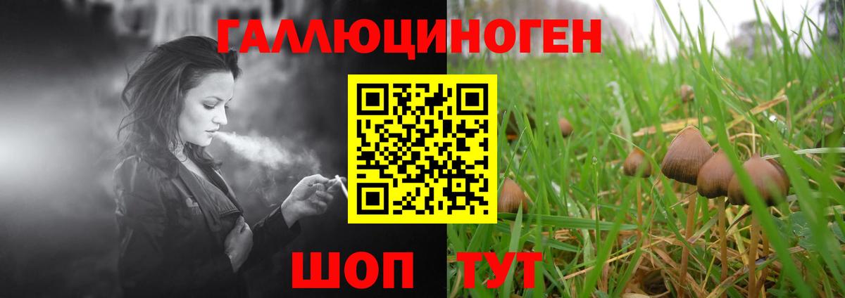 Псилоцибиновые грибы Psilocybe Заринск